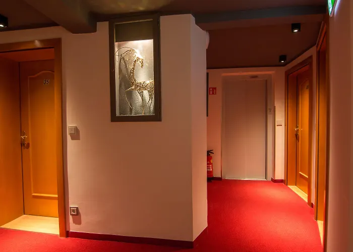 Otel Cityhotel Trumer Stube 3*